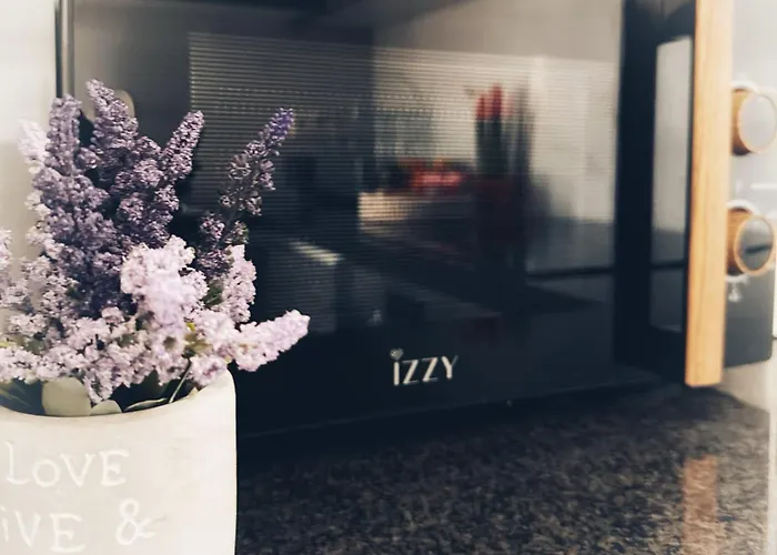 Διαμέρισμα Comfy Vista